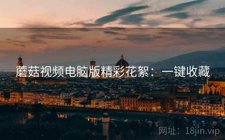 蘑菇视频电脑版精彩花絮：一键收藏