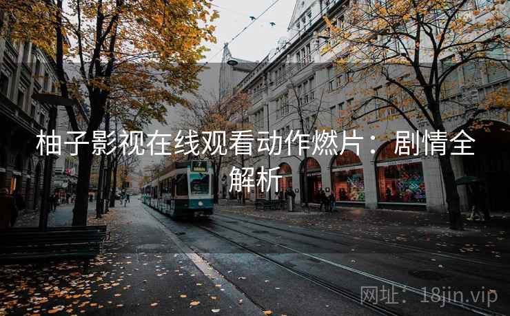 柚子影视在线观看动作燃片：剧情全解析