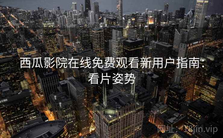 西瓜影院在线免费观看新用户指南：看片姿势
