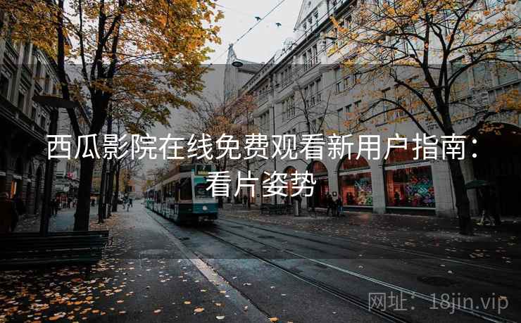 西瓜影院在线免费观看新用户指南：看片姿势