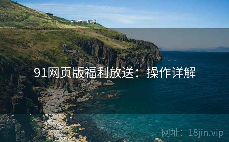 91网页版福利放送:操作详解